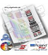AUTOCOLLANT ROCKSHOX SID ULTIMATE Holographic 2021 WP335