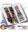 AUFKLEBER ROCKSHOX SID ULTIMATE SL WP336 Holographic