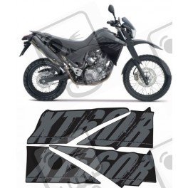 Yamaha XT 660R YEAR 2008 ADHESIVOS