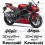 ADESIVI KIT KAWASAKI ZX-10R Ninja YEAR 2012 (Prodotto compatibile)