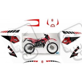 ADESIVOS GILERA RCR-50