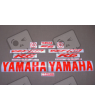 YAMAHA YZF-R6 YEAR 2009-2009 RED FLUOR