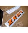 Kawasaki ZX-9R YEAR 1995 SILVER/GREEN/BLACK ADHESIVOS