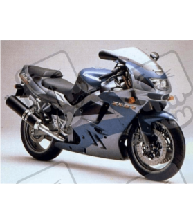 Kawasaki ZX-9R YEAR 1995 SILVER/GREEN/BLACK ADESIVI