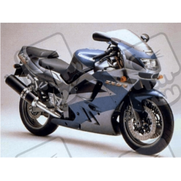 Kawasaki ZX-9R YEAR 1995 SILVER/GREEN/BLACK ADESIVOS