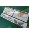 STICKERS Honda CBR Super Blackbird 2002 - 2004