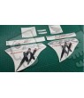 AUTOCOLLANT HONDA CBR Super Blackbird CARBON 2000 - 2004