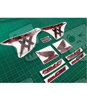 Adesivos HONDA CBR Super Blackbird 2002 - 2004