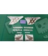 DECALS HONDA CBR Super Blackbird 2002 - 2004