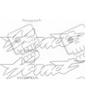 ADHESIVOS SET HONDA HORNET CB600 1998 - 2000
