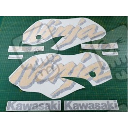 Kawasaki ZX-7R YEAR 1998 ADESIVOS