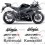 ADHESIVO KIT KAWASAKI ZX-6R AÑO 2012 (Producto compatible)