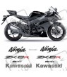 ADHESIVO KIT KAWASAKI ZX-6R AÑO 2012