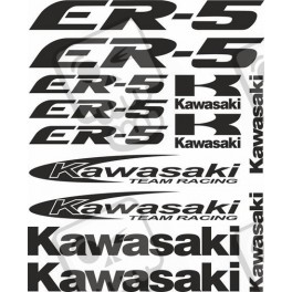 Stickers decals KAWASAKI ER-5 YEAR 1997 - 2007