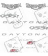TRIUMPH Daytona 955i year 2002 ADESIVOS
