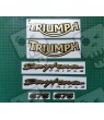 TRIUMPH Daytona 675 YEAR 2005-2006 STICKERS