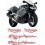 TRIUMPH Daytona 955i YEAR 1999 AUFKLEBER (Kompatibles Produkt)
