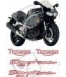 TRIUMPH Daytona 955i YEAR 1999 AUTOCOLLANT