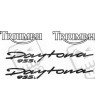 TRIUMPH Daytona 955i YEAR 1999 ADESIVI