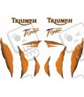 TRIUMPH Daytona 955i ADHESIVOS
