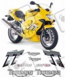 TRIUMPH TT 600 YEAR 2000-2003 ADESIVOS
