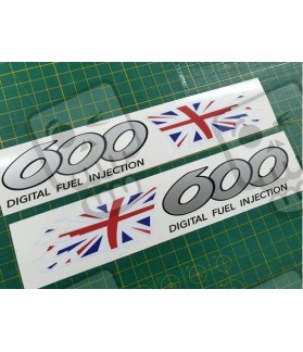 TRIUMPH TT 600 YEAR 2000-2003 DECALS (Compatible Product)
