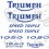TRIUMPH Speed Triple 1050 AUFKLEBER (Kompatibles Produkt)