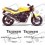 TRIUMPH Speed Triple YEAR 1994-1996 AUTOCOLLANT (Produit compatible)