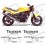 TRIUMPH Speed Triple YEAR 1994-1996 DECALS (Compatible Product)