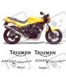 TRIUMPH Speed Triple YEAR 1994-1996 DECALS