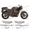 TRIUMPH Speed Triple YEAR 1994-1996 DECALS