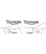 TRIUMPH Speed Triple YEAR 1994-1996 STICKERS