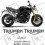 TRIUMPH Speed Triple 1050 YEAR 2005-2010 ADHESIVOS (Producto compatible)
