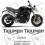 TRIUMPH Speed Triple 1050 YEAR 2005-2010 AUFKLEBER (Kompatibles Produkt)