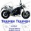 TRIUMPH Speed Triple 1050 YEAR 2005-2010 ADESIVOS (Produto compatível)