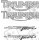 TRIUMPH Street Triple ADHESIVOS (Producto compatible)