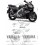 YAMAHA YZF Thundercat 600R YEAR 1998-2001 DECALS (Compatible Product)
