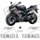 YAMAHA YZF R1 YEAR 2007 AUFKLEBER (Kompatibles Produkt)