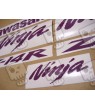 Kawasaki ZX-14R CUSTOM PURPLE DECALS
