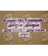 Kawasaki ZX-14R CUSTOM PURPLE DECALS