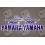 YAMAHA YZF-R6 YEAR 2003-2009 AZUL ROYAL (Producto compatible)