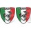 Abarth gel Badges decals 60mm x2 (Compatible Product)