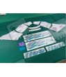 Kawasaki ZZR 1100 YEAR 1995 DECALS