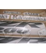 ADESIVOS KAWASAKI ZZR1200 YEAR 2002 BLUE
