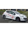 Peugeot 207 side lion Graphics Stripes adesivi
