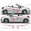 Peugeot 207 side lion Graphics Stripes autocollant (Produit compatible)