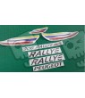 Peugeot 306 Rallye ANTHRACITE & SILVER stickers