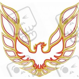 Pontiac Trans AM 1970's style 34" Bonnet decals