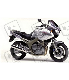 YAMAHA TDM 900 YEAR 2002 SILVER DECALS (Compatible Product)