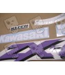 KAWASAKI ZX-6R YEAR 2002 BLUE ADHESIVOS